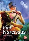 Pink Narcissus (1971).jpg